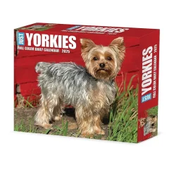 2025 Calendars|Willow Creek 2025 Yorkies 6" x 5.5" Day-to-Day Calendar (41130)
