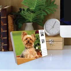 2025 Calendars|Willow Creek 2025 Yorkies 6