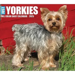 2025 Calendars|Willow Creek 2025 Yorkies 6