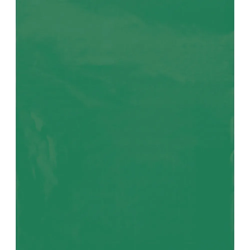 Sale Partners Brand 15" x 18" Layflat Poly Bags, 2 Mil, Green, 1000/Carton (PB572G)