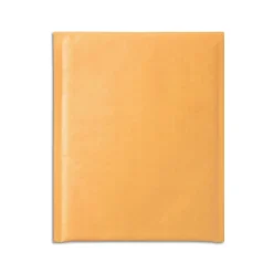 Outlet Staples 9.25 x 11 Self-Sealing Bubble Mailer, #2 (56564)