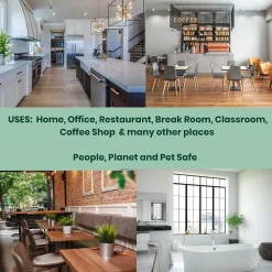 Natural All-Purpose Cleaner, Peppermint Scent, 25 Fl Oz., 6/Carton (AG14-ST-6)<Absolute Green Clearance