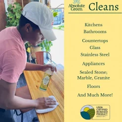 Natural Multipurpose Cleaner, Lemon, 2/Pack (LEMALL-2PK)<Absolute Green New