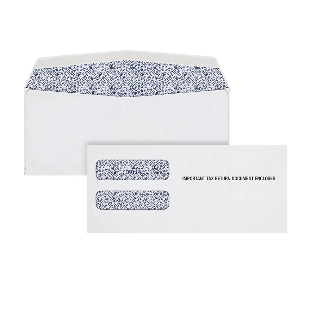 Best Adams Gummed W-2 Double Window Envelope, 3 7/8" x 8 1/4", White, 100/Pack (DW3ALT100)