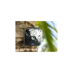 Blink Amazon Outdoor Wireless 2-Camera System, Black (B086DL32R3)