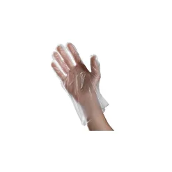 P6505 Series Polyethylene Disposable Gloves, L, Clear, 500/Box (PLG6505)<Ambitex Best