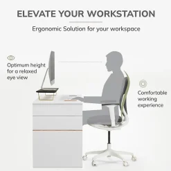 Anji Mountain Mango Wood & Metal Monitor Stand with Two USB Ports and Drawer, (MS-BLK-06GLD-PD) Black and Gold