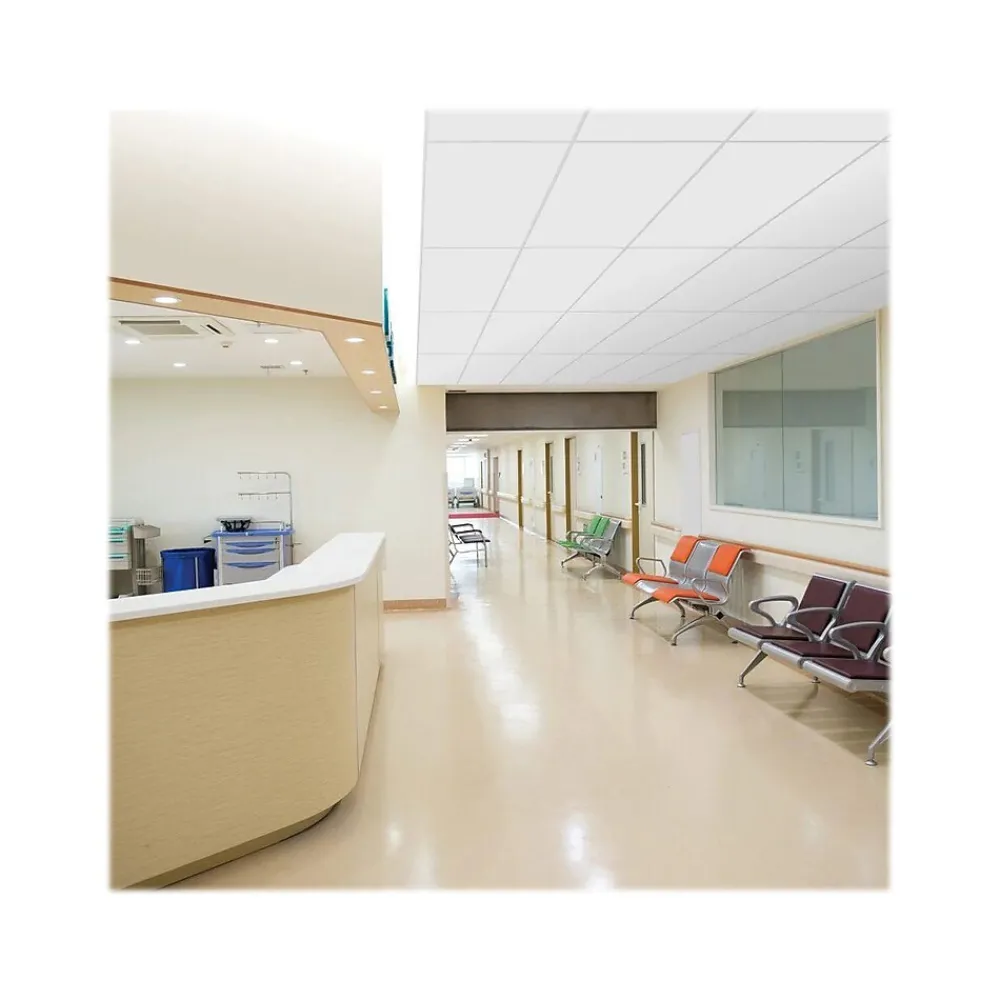 Armstrong CALLA Health Zone Square Edge Ceiling Tile 15/16, 24" x 48", White, 6/Carton (BP2233)