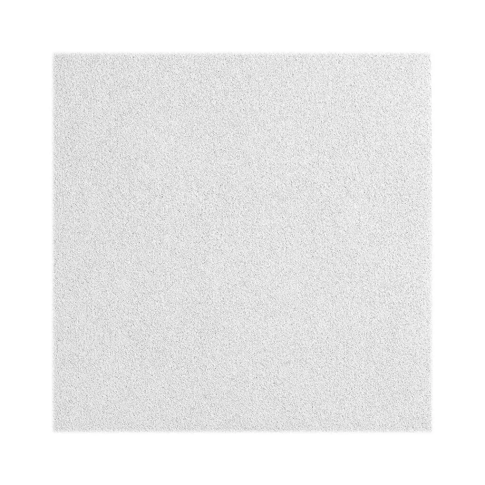 Armstrong CALLA Lay-In Square Edge Ceiling Tile, 24" x 72", White, 6/Carton (BP2864)