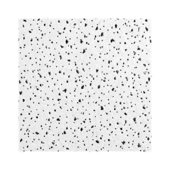 Armstrong CERAMAGUARD Fine Fissured Square Edge Ceiling Tile, 24" x 48", White, 6/Carton (BP608A)