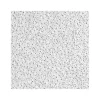 Armstrong CIRRUS High NRC Tegular Edge Ceiling Tile, 24" x 24", White, 10/Carton (BP558E)
