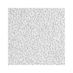 Armstrong CIRRUS High NRC Tegular Edge Ceiling Tile, 24" x 24", White, 10/Carton (BP558E)