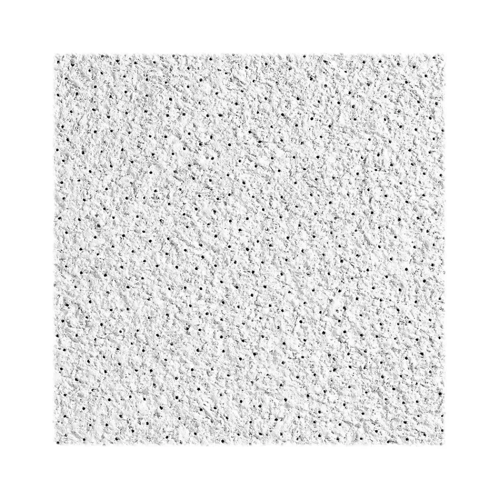 Armstrong CIRRUS High NRC Tegular Edge Ceiling Tile, 24" x 24", White, 10/Carton (BP558E)