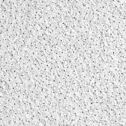 Armstrong CIRRUS High NRC Tegular Edge Ceiling Tile, 24" x 24", White, 10/Carton (BP556E)