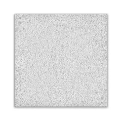 Armstrong CIRRUS Tegular Edge Ceiling Tile 15/16, 24" x 24", White, 12/Carton (BP584B)
