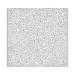 Armstrong CIRRUS Tegular Edge Ceiling Tile 9/16, 24" x 24", White, 12/Carton (BP589B)