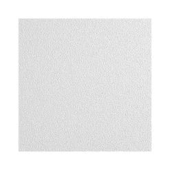 Armstrong CLEAN ROOM VL Square Lay-In Edge Ceiling Tile, 24" x 24", White, 12/Carton (BP868B)