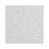 Armstrong DUNE Beveled Tegular Edge Ceiling Tile, 24" x 24", White, Dozen (BP1852)