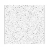 Armstrong FINE FISSURED Angled Tegular Edge Ceiling Tile, 24" x 24", White, 16/Carton (BP1732)