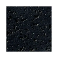 Armstrong FINE FISSURED Square Lay-In Edge Ceiling Tile, 24" x 24", Tech Black, 12/Carton (BP1713BL)