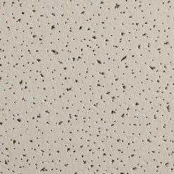Armstrong FINE FISSURED Square Lay-In Edge Ceiling Tile, 24" x 48", Medium Taupe, 12/Carton (BP1729AMT)