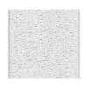 Armstrong FISSURED Angled Tegular Edge Ceiling Tile, 24" x 24", White, 16/Carton (BP705A)
