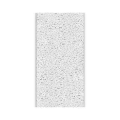 Armstrong FISSURED Square Lay-In Edge Ceiling Tile, 24" x 48", White, 12/Carton (BP755B)