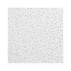 Armstrong GEORGIAN Square Lay-In Edge Ceiling Tile, 24" x 24", White, 16/Carton (BP764C)