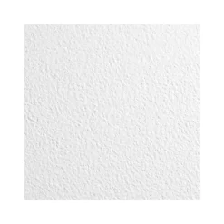 Armstrong KITCHEN ZONE Square Lay-In Edge Ceiling Tile, 24" x 48", White, 12/Carton (BP672)