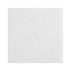 Armstrong LYRA Plant-Based Square Tegular Ceiling Tile 9/16, 24" x 48", White, 12/Carton (BP8357PB)