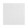 Armstrong LYRA Plant-Based Square Tegular Edge Ceiling Tile 15/16, 24" x 24", White, 12/Carton (BP8360EPB)