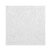 Armstrong ULTIMA Health Zone Lay-In Square Edge Ceiling Tile 15/16, 3/4, 24" x 48", White, 6/Carton (BP1938A)