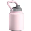 Stainless Steel Insulated Mini Jug, 33 oz., Pink (NA-SJU3P)<ASOBU Online
