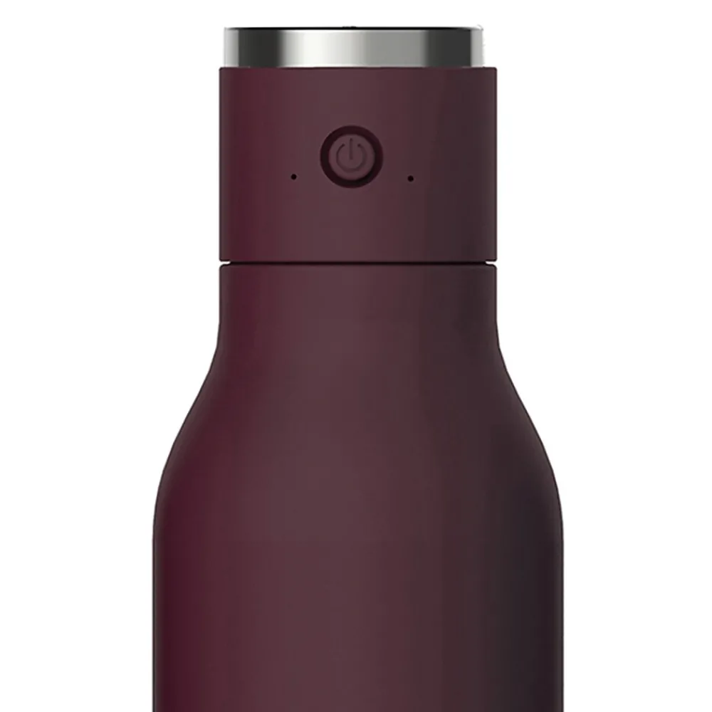 ASOBU Stainless Steel Vacuum Insulated Water Bottle, 17 oz., Purple (ADNANABT60BURG)