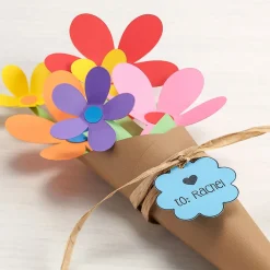 Card Stock*Astrobrights 65 lb. Cardstock Paper, 8.5