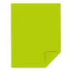 Card Stock*Astrobrights 65 lb. Cardstock Paper, 8.5" x 11", Terra Green, 2,000 Sheets/Carton (22781CT)