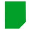 Card Stock*Astrobrights 65 lb. Cardstock Paper, 8.5" x 11", Gamma Green, 2,000 Sheets/Carton (22741CT)