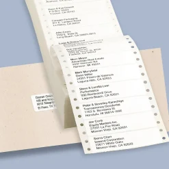 Online Avery Computer Labels, Dot Matrix Labels and Pin-Feed Labels, 15/16" x 3-1/2", White, 5,000 Labels/Pack (4013)