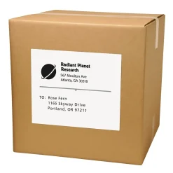 Online Avery Copier Shipping Labels, 8-1/2" x 11", White, 100 Labels/Box (5353)
