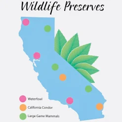 Labels|Avery Easy Peel Laser Color-Coding Labels, 3/4" Dia, Assorted Neon, 1,008 Labels/Pack (5474)