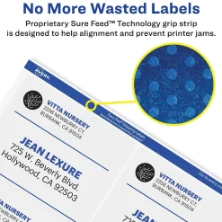 Outlet Avery Easy Peel Laser Shipping Labels, 3-1/3