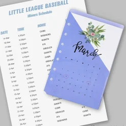 Dividers|Avery Mini Binder Pockets for 5 1/2