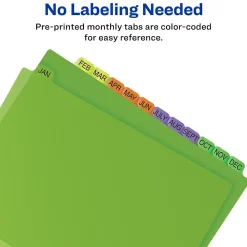 Dividers|Avery Plastic Pre-Printed Monthly Plastic Divider, Jan-Dec Tabs, Multicolor, 1 Set (11331)
