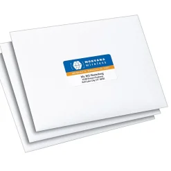 Outlet Avery Print-to-the-Edge Laser Address Labels, 1-1/4
