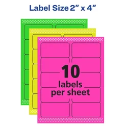 Labels|Avery Sure Feed Laser/Inkjet ID Labels, 2 x 4, Assorted Neon, 120 Labels/Pack (6481)