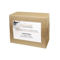 Clearance Avery TrueBlock Laser/Inkjet Shipping Labels, 4