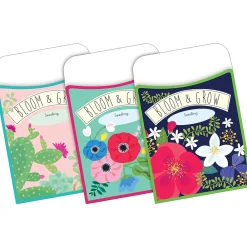 File Folders|Barker Creek Folder & Pocket Set, 1/3-Cut Tab, Letter Size, Petals & Prickles, 42/Set (4418)