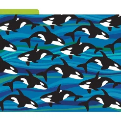 File Folders|Barker Creek Sea & Sky File Folder, 1/3-Cut Tab, Letter Size, Assorted, 12/Pack (2015)