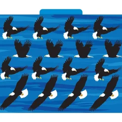 File Folders|Barker Creek Sea & Sky File Folder, 1/3-Cut Tab, Letter Size, Assorted, 12/Pack (2015)