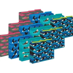 File Folders|Barker Creek Sea & Sky File Folder, 1/3-Cut Tab, Letter Size, Assorted, 36/Set (4405)